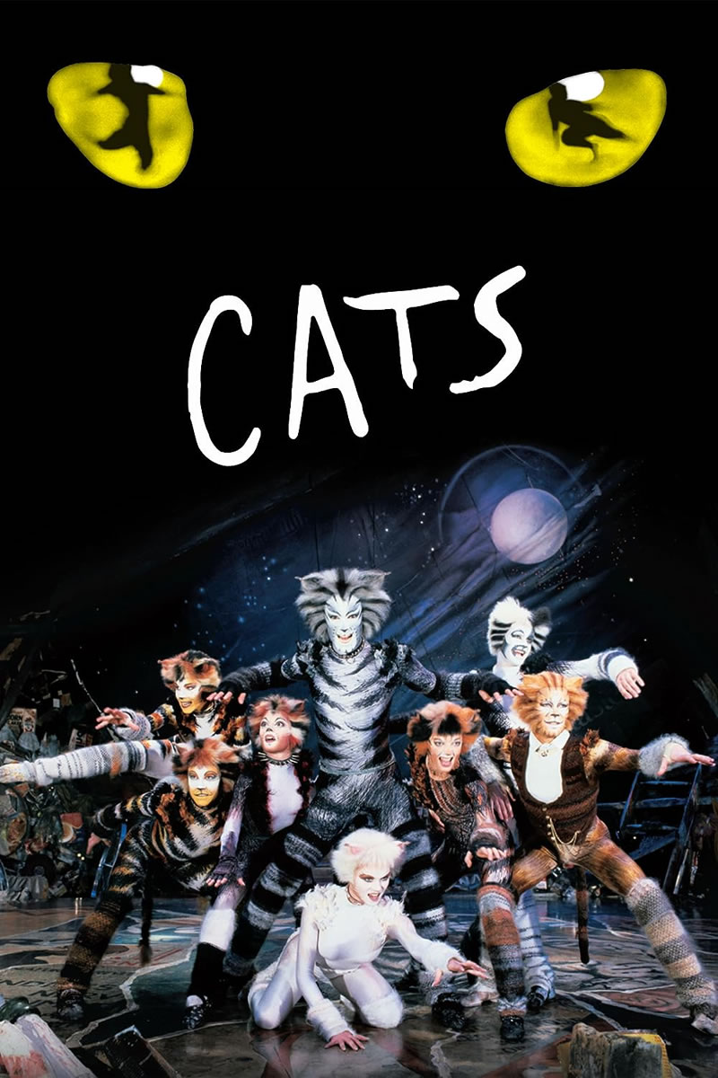 Ricordi passati alla storia grazie ad un gatto