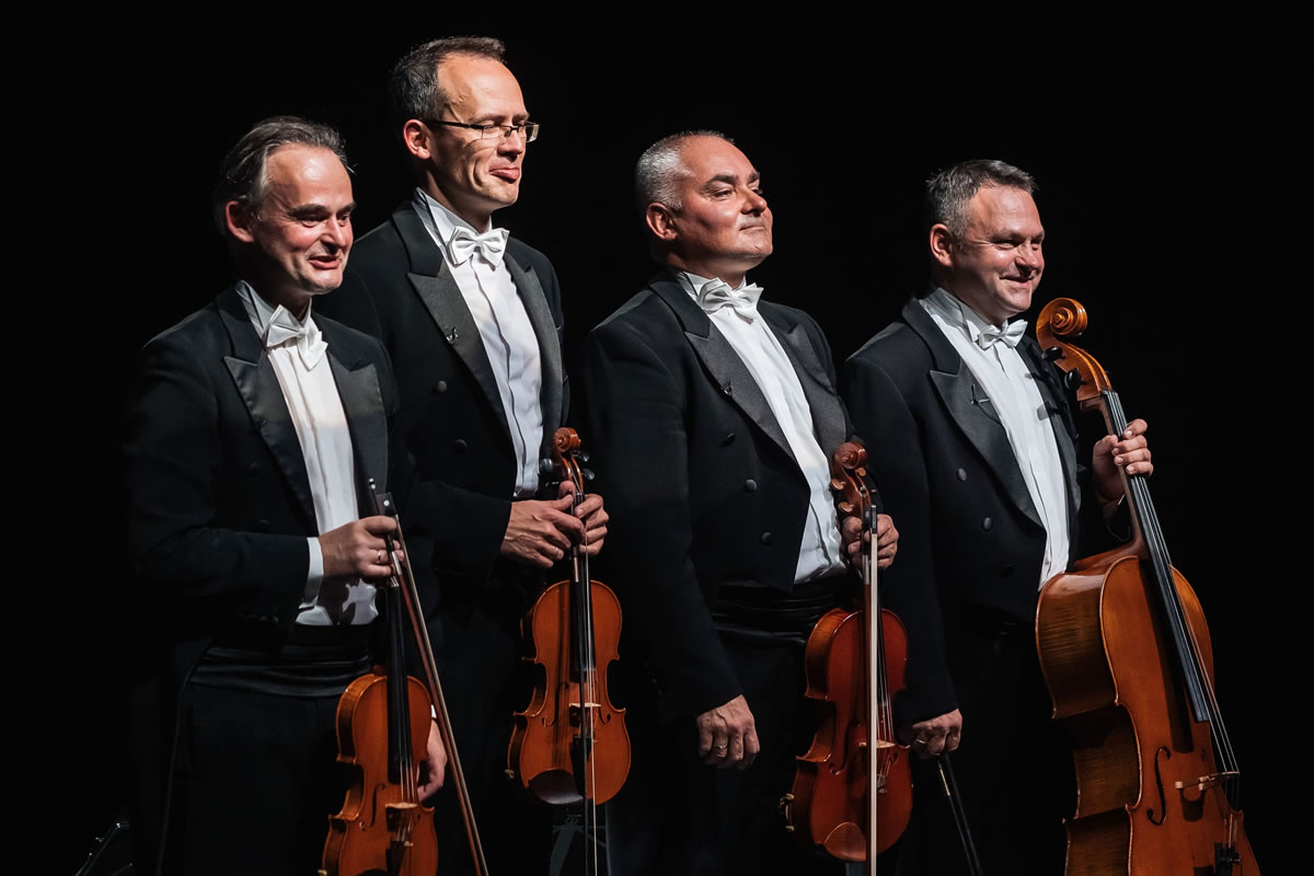 Mozart Group: Classical Therapy