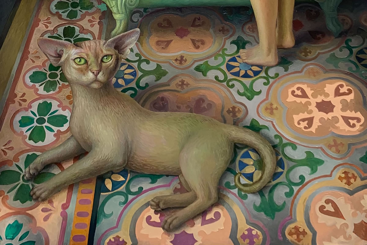La compagnia del sogno