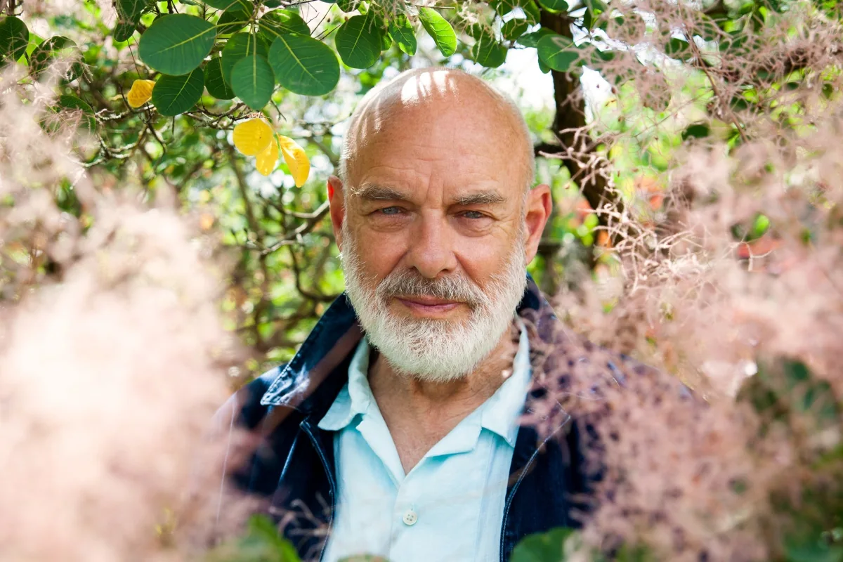 Brian Eno: Seed / My Light Years