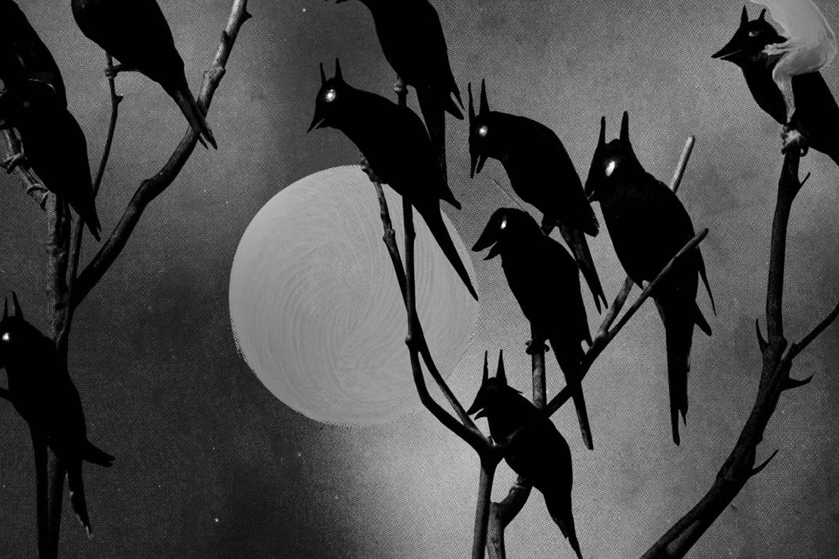 David Gilmour: Dark And Velvet Nights