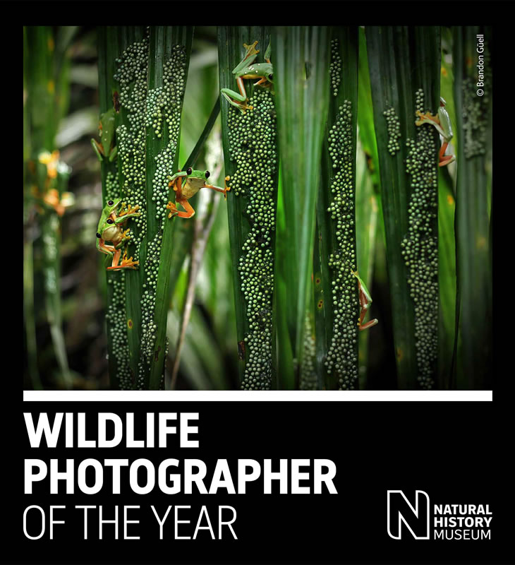 Wildlife Photographer of the Year, 58esima edizione